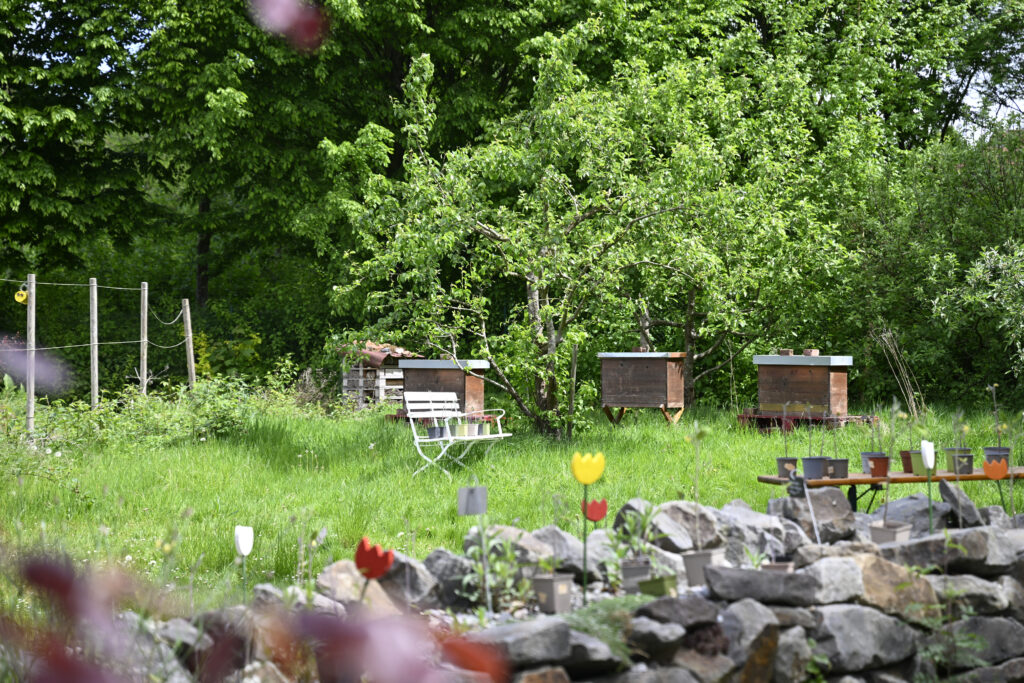 Ein Garten mit Kästen für Bienen.
